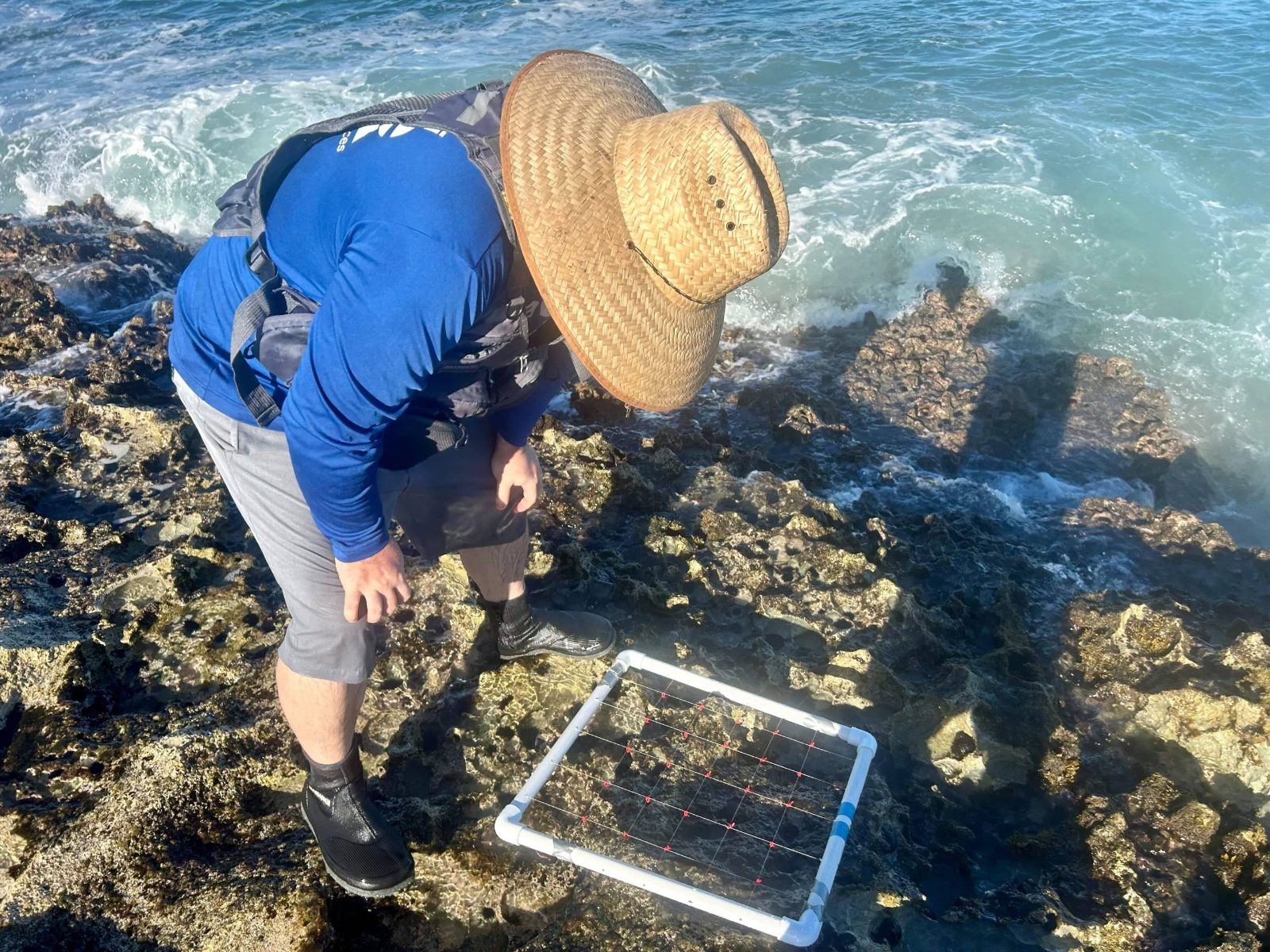 A volunteer working on the reef flat