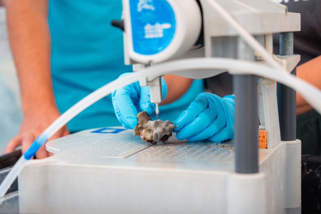 A person wearing blue gloves operates a machine, focusing intently on their task in a well-lit environment.