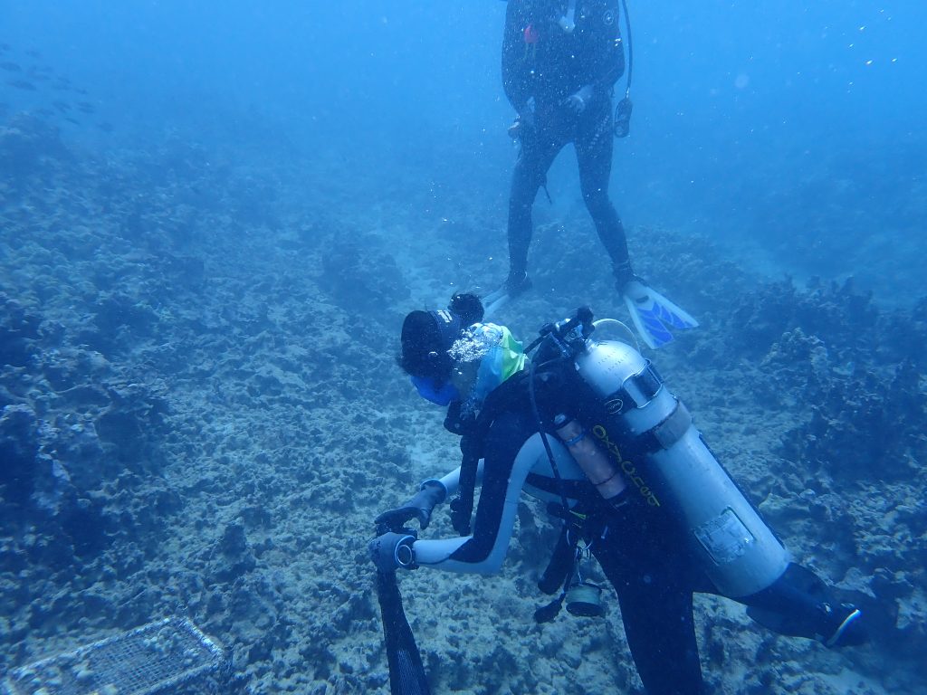 Two scuba divers are engaged in maintenance work on a vibrant coral reef, surrounded by marine life and clear blue water.